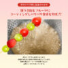 4 冷凍いちご飴(タンフル)100本セット