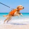 犬用ライフジャケット 顎サポート・背面ハンドル付き S・M／2カラー
